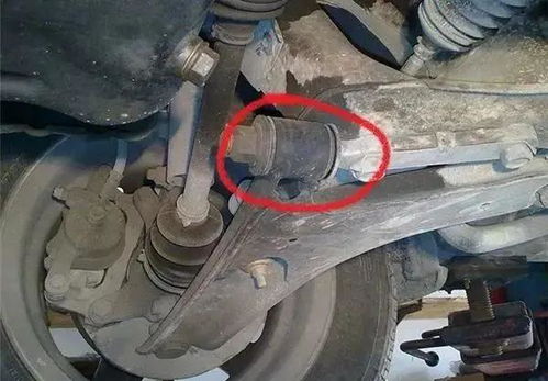 车辆保养盲区全解析 别让细节成为安全隐患